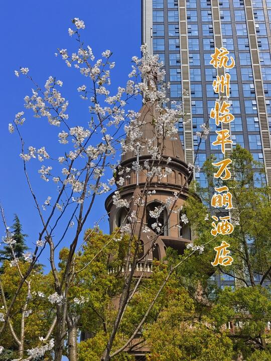 杭州临平万丽酒店|号称浙江的小“W”酒店