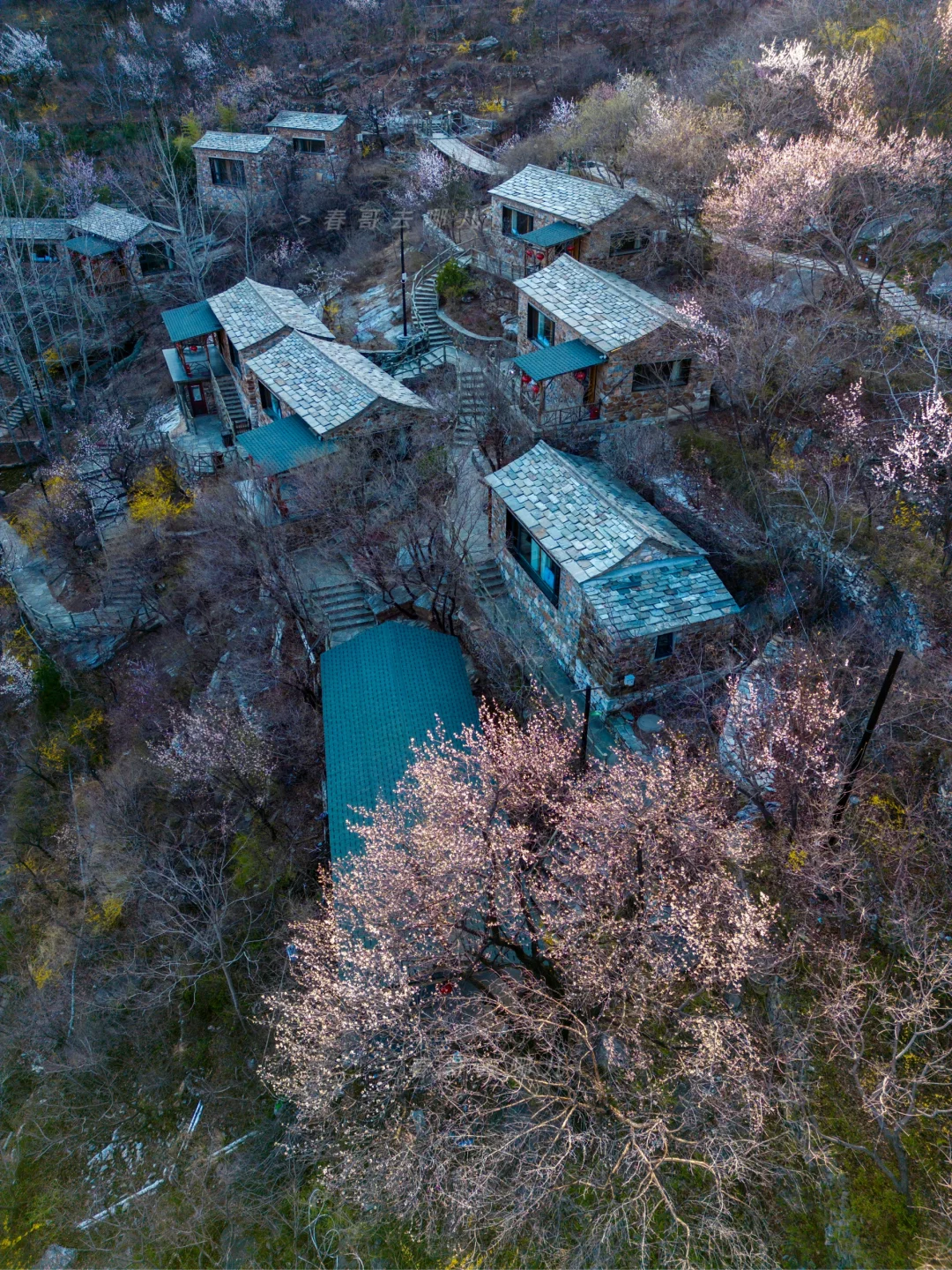 房山坡峰岭轻奢石屋，三四五月花开满山！