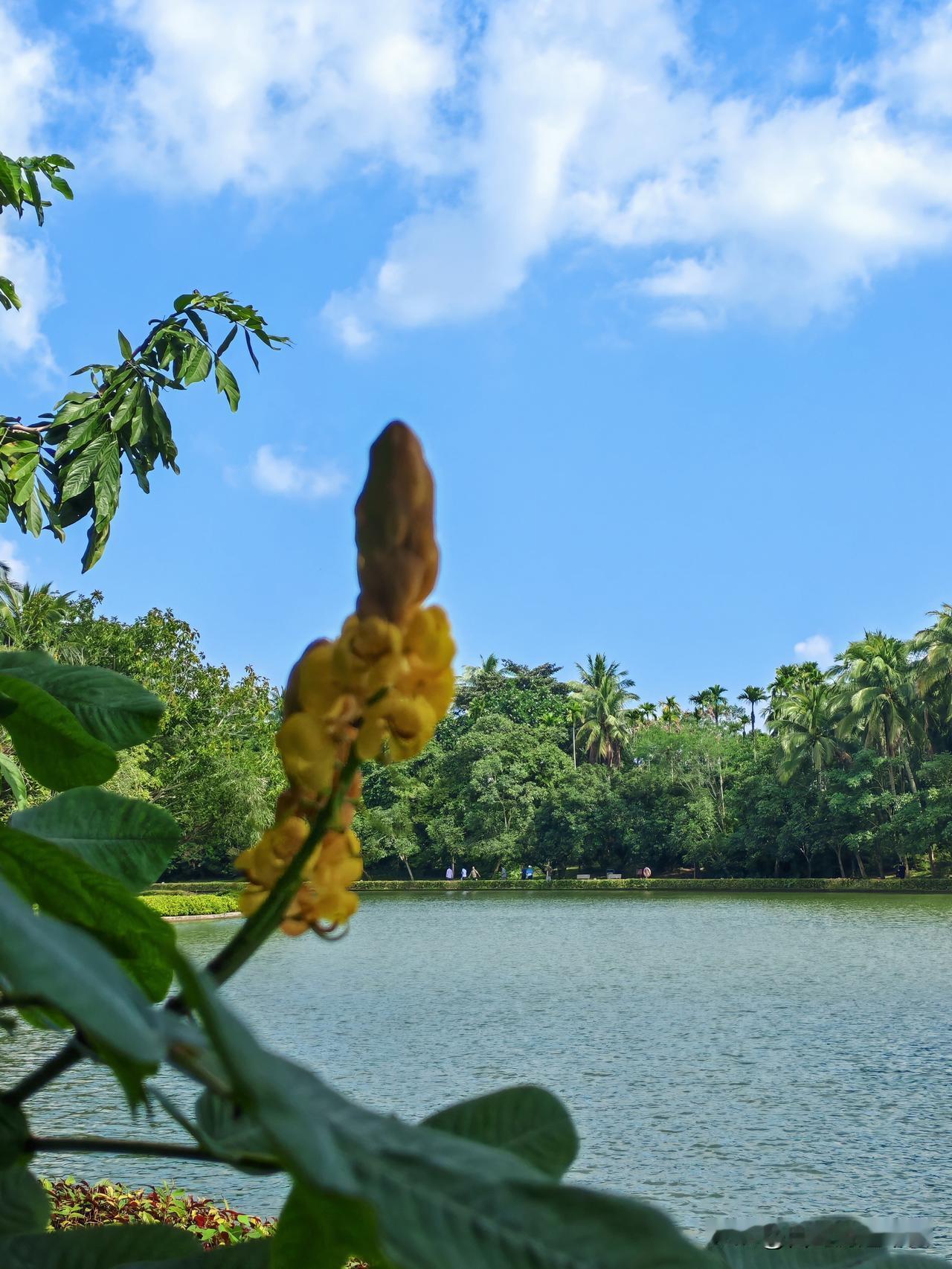 海南封关了，来海南旅游
不用出国就能免税买到全世界的进口商品。只要在海南消费进口