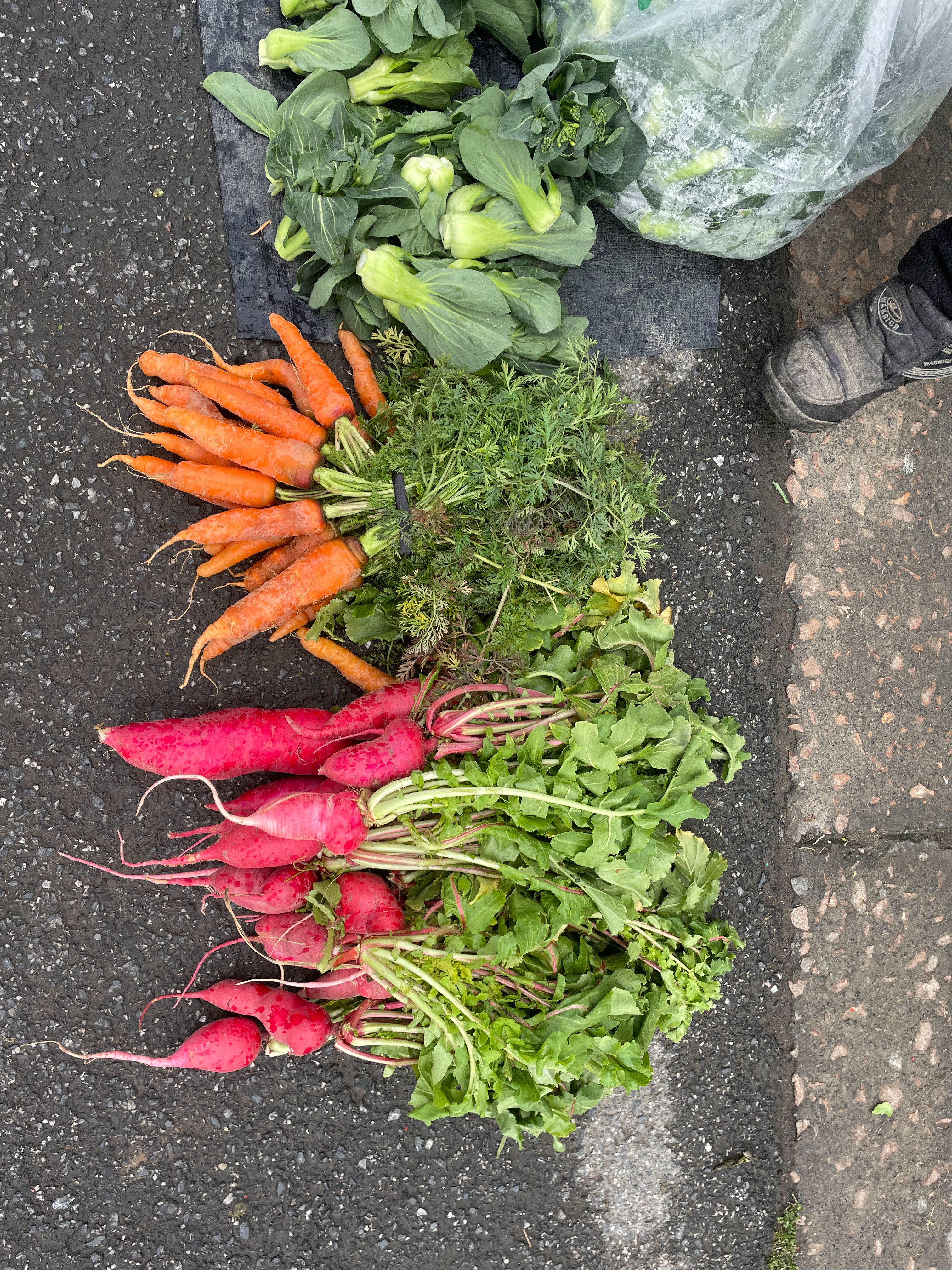 我们勤劳肯干的浙江农民大姨年初一的一大早已经出摊卖菜了，生动诠释了浙江人就是从年