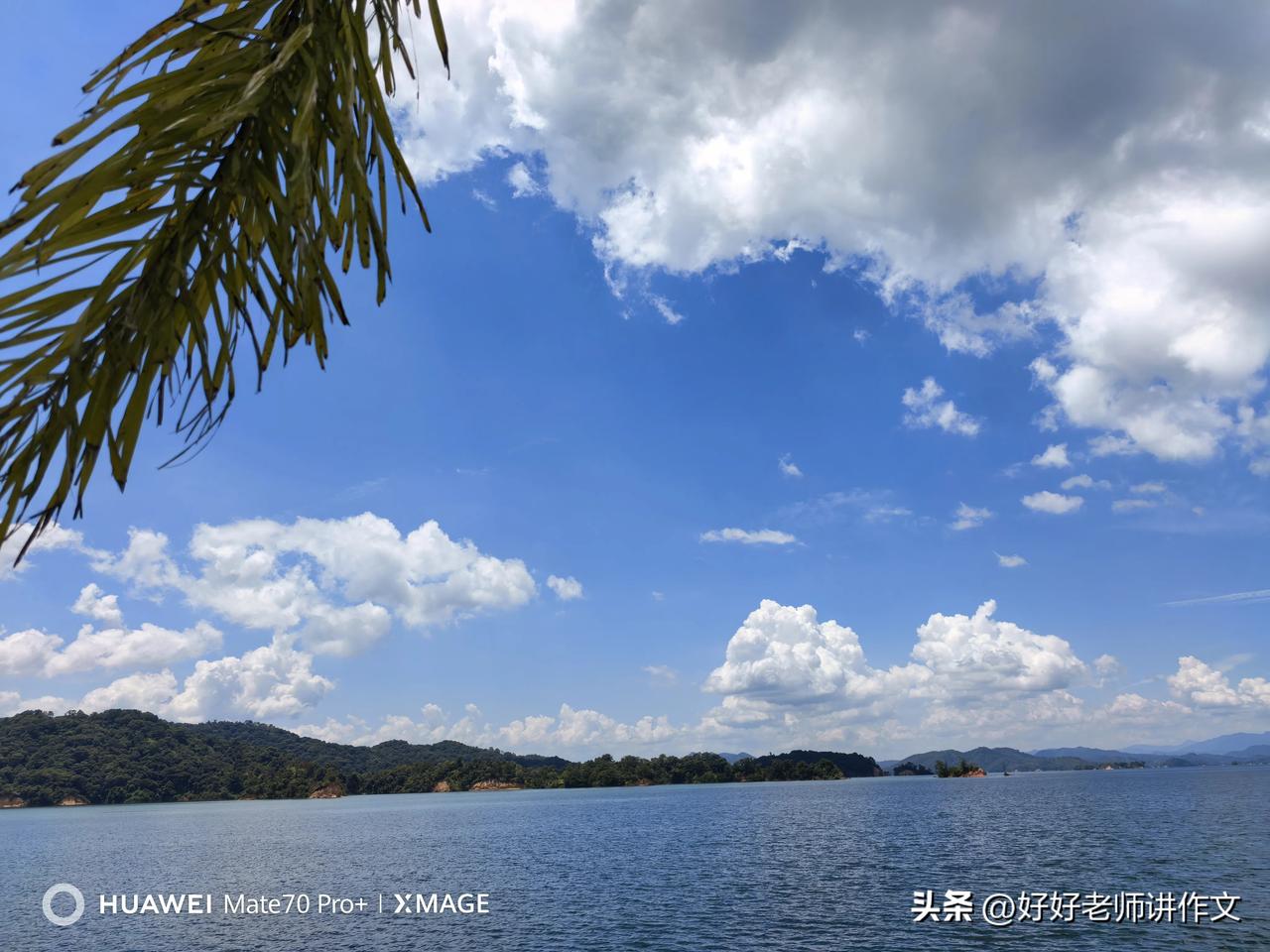 五句话讲清楚如何进行细节描写
1. 锚定核心对象：明确要描写的核心事物（人/景/