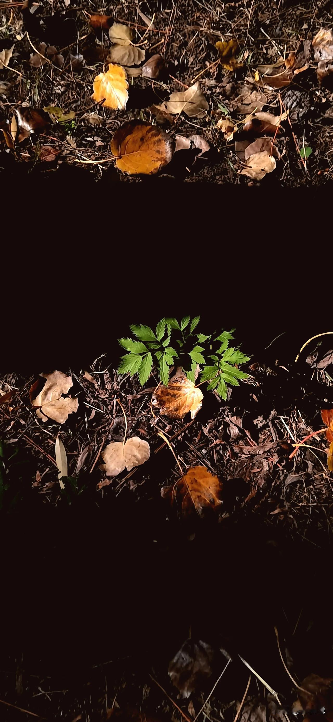 摄影者有三类：专业赚钱的，发朋友圈炫耀的，自己增留下记忆的。
如果摄影不是为了赚