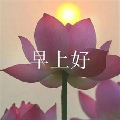 生活顺心，一帆风顺；
事业称心，一本万利；
朋友交心，一见如故；
爱人知心，一往