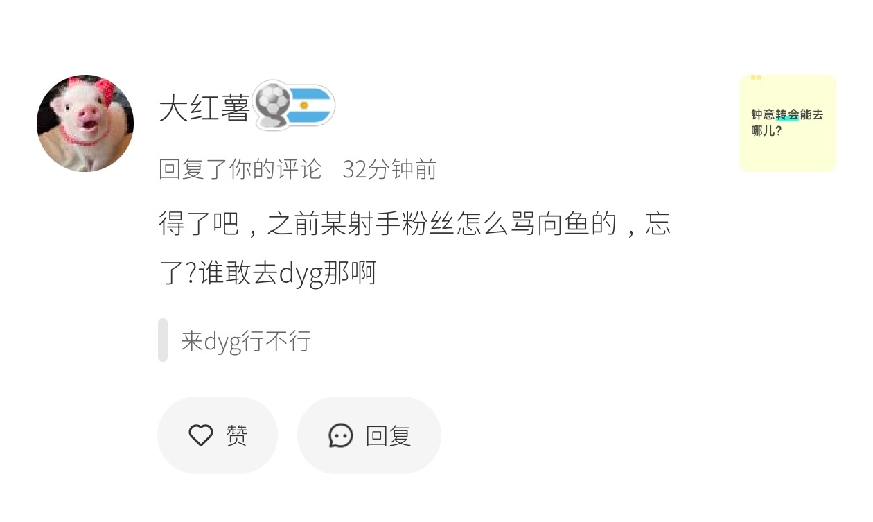 是哪个不敢认领自己粉籍的粉丝，跟个疯狗一样到处拉💩 