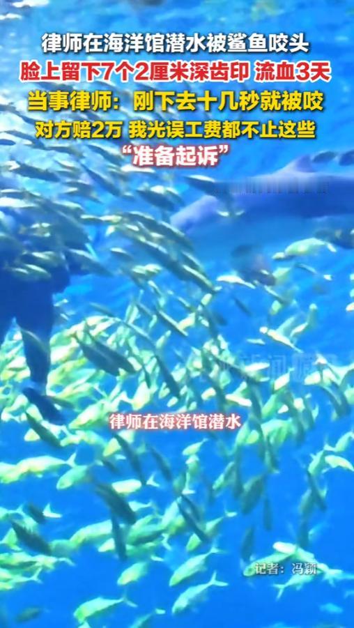 “这不是要人命嘛！”6月15日报道，湖南长沙，一位律师在海洋馆体验潜水。下水才十