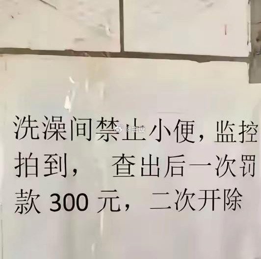 我整个人都麻了。 ​​​