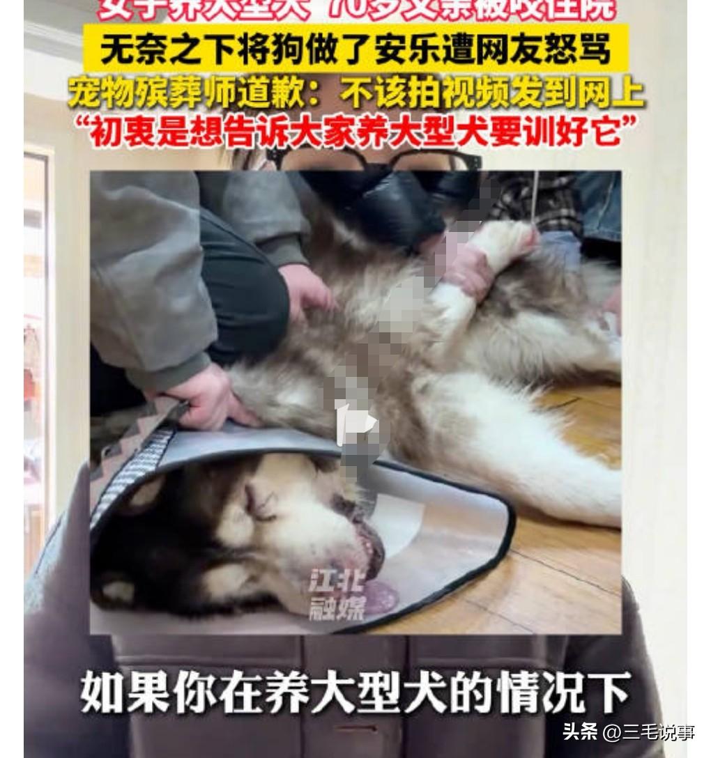 这没什么好争议的呀，这个爱攻击人的狗被安乐死那也是可以理解的啊。
想到狗主人却因