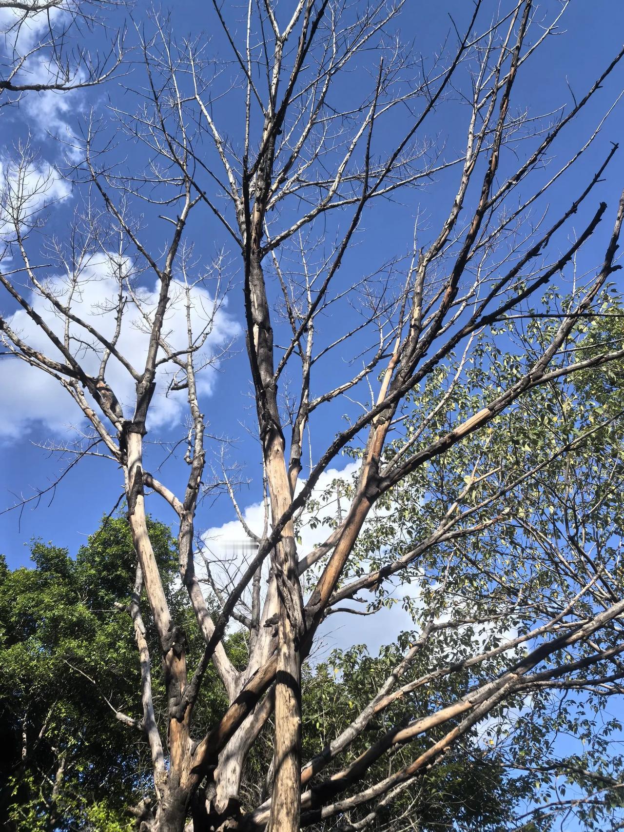 昨晚小柚子老是不睡，躺下了还不断调皮，说话，翻跟斗。
妈妈就拿他手过来打，不睡觉