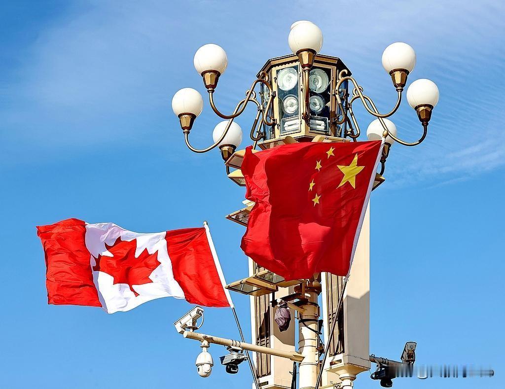 中加领导人会晤签署经贸合作路线图，农业能源合作迎新机遇
 
1月16日，中国和加