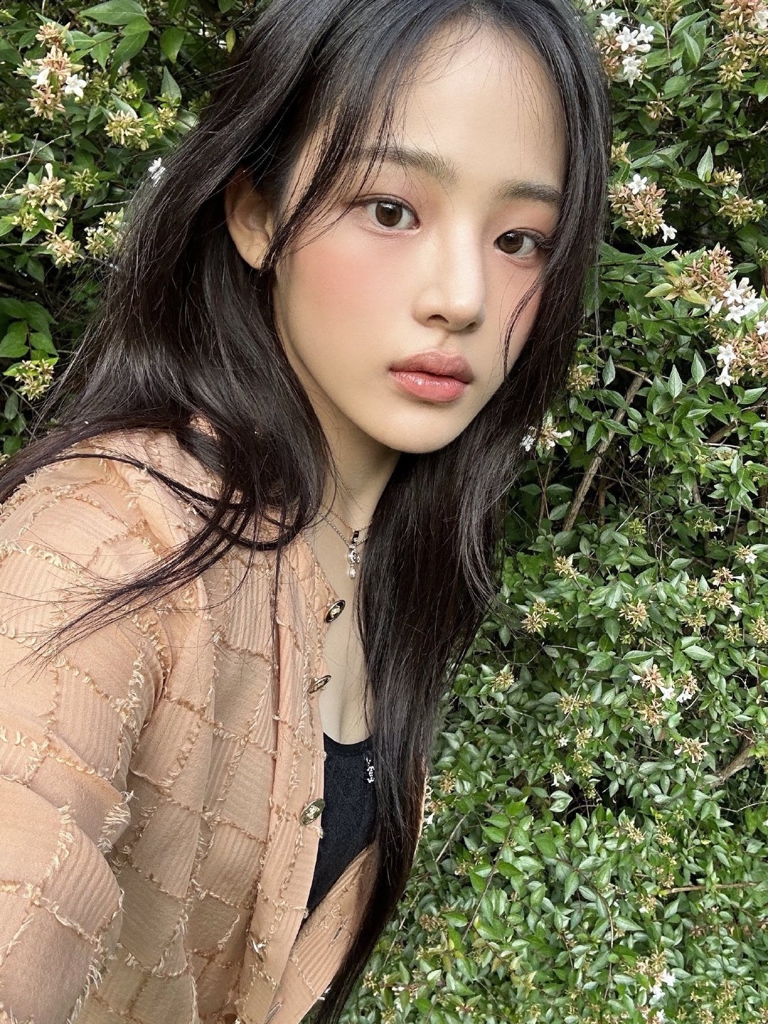 𝗪𝗲𝗰𝗵𝗮𝘁头像分享丨韩系女头丨氛围感ins风丨绿色系丨Minji 