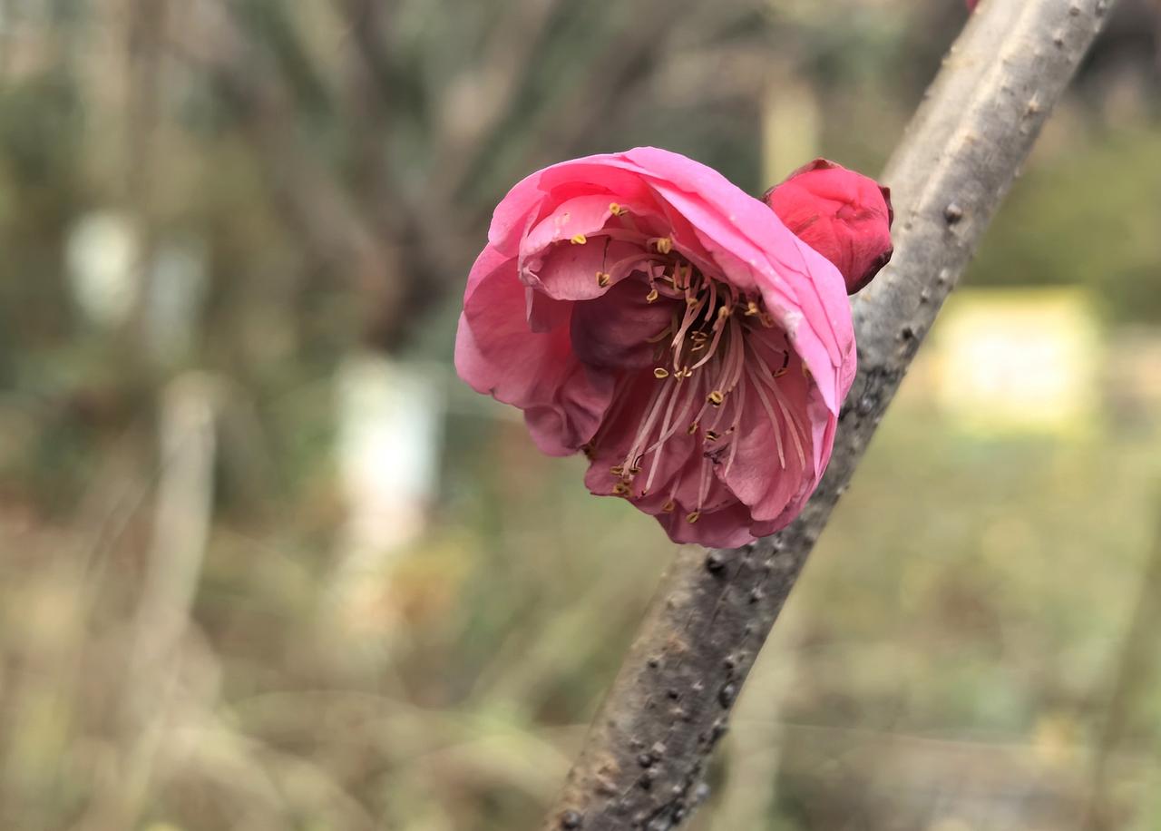 【热评】善举岂可被肆意愚弄
两人乞讨相恋5年挣32万 分手陷纠纷

助困怜弱是刻