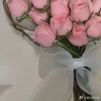 阳光信用 爱自己，爱生活，爱思考，爱行走，爱发现，爱探索，愿意拥有，愿意路过，愿