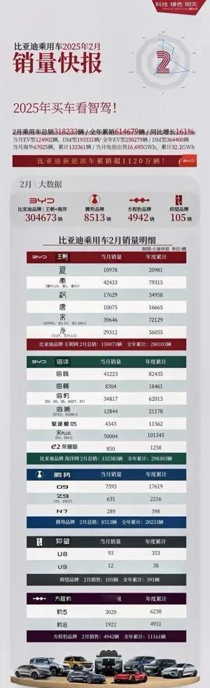 比亚迪2月销量直接干到32.28万辆，同比暴涨161%！这波春节档还能逆势冲高，