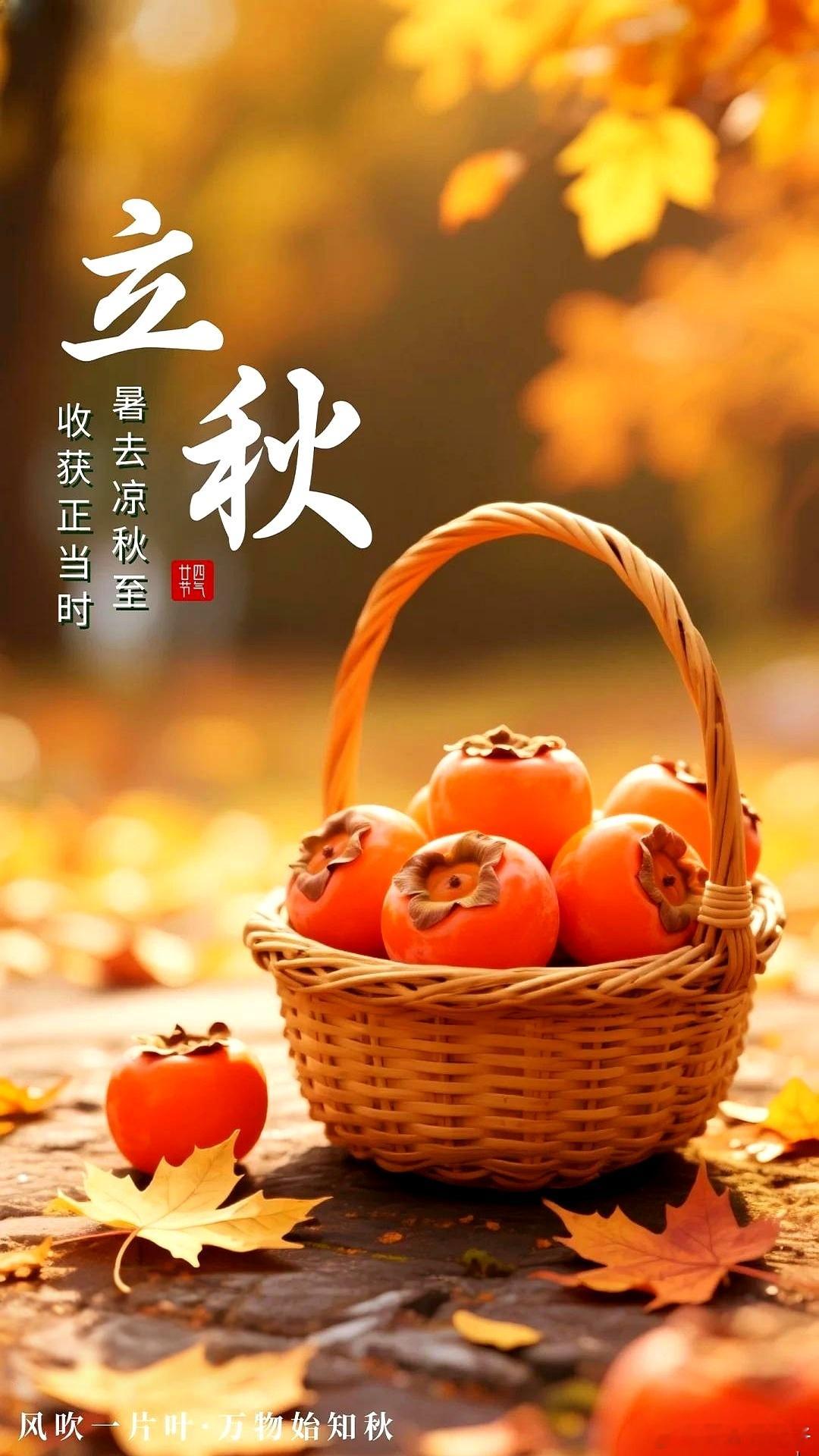 立秋意味着收敛与沉淀，万物褪去张扬，慢慢积蓄力量。人亦是如此，褪去浮躁的欲望，放