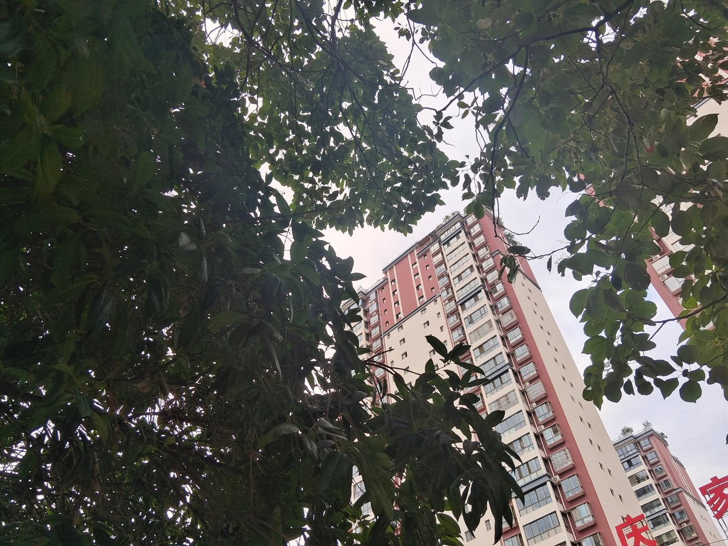 一条plog告别五月考点的早餐爱了，一个包子大且便宜，豆浆甜甜的很好喝，就是这个