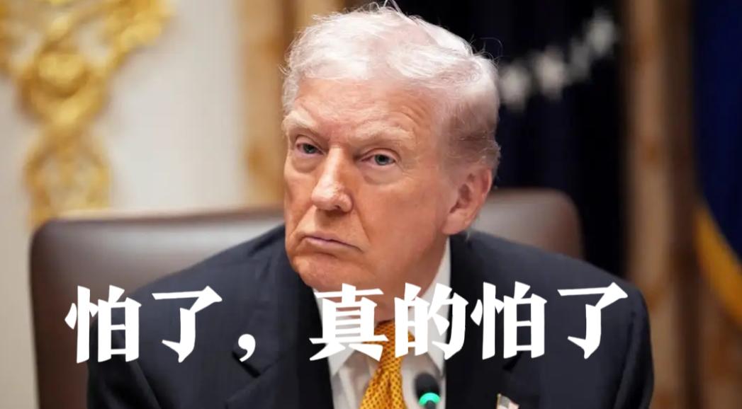 特朗普怂了，他是真的怂了。

当他对着伊朗撂下 “一个文明将彻底消亡” 的最后通