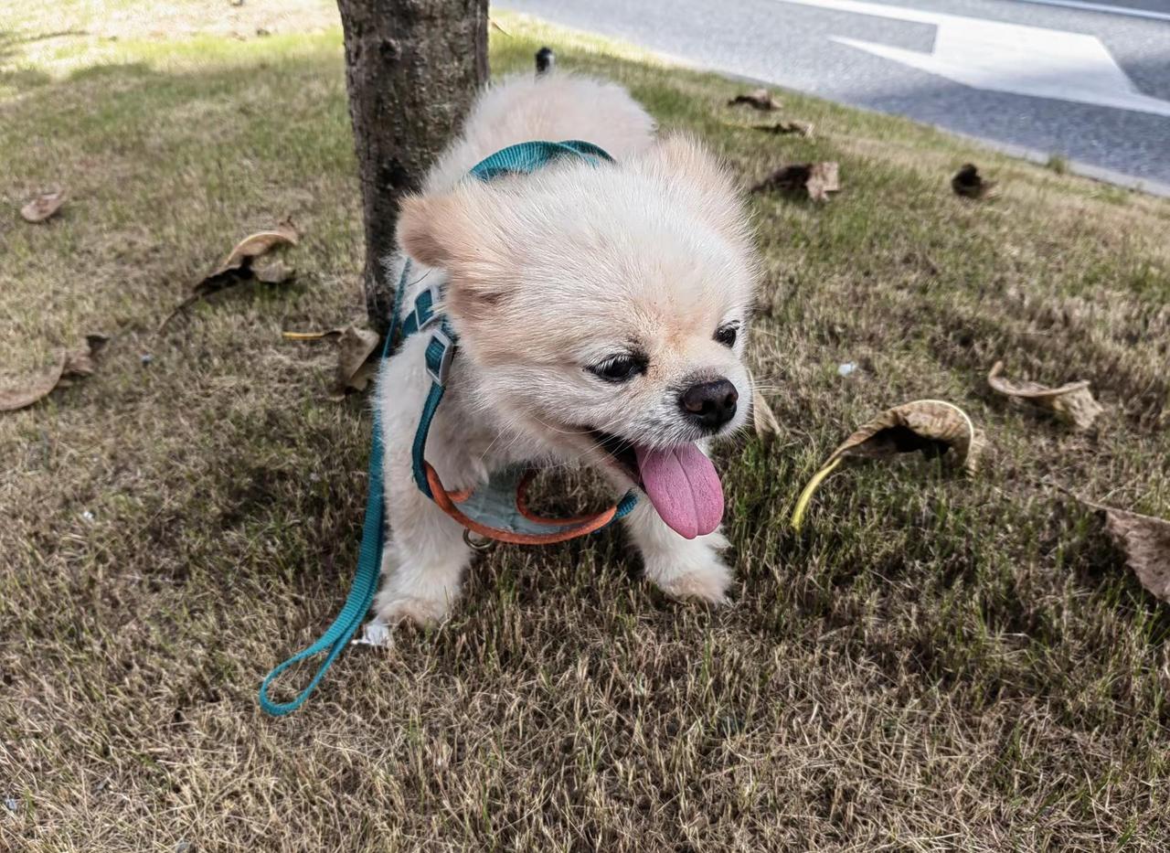 爱的痛了🤕痛的哭了😭哭了累了😪日记本里页页执着😩记载着你的好🥺像上瘾的