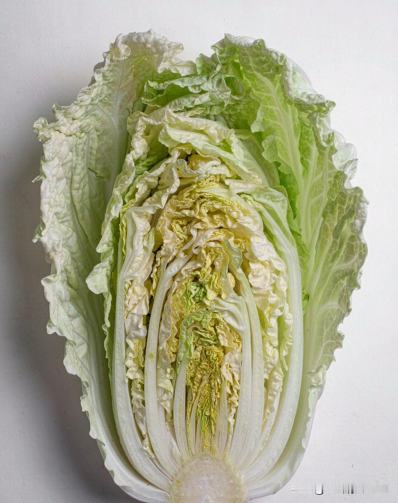 白菜根蘸甲醛这事儿，上了热搜，某省康保前两天刚被查实，确实是违法的，极少部分外运