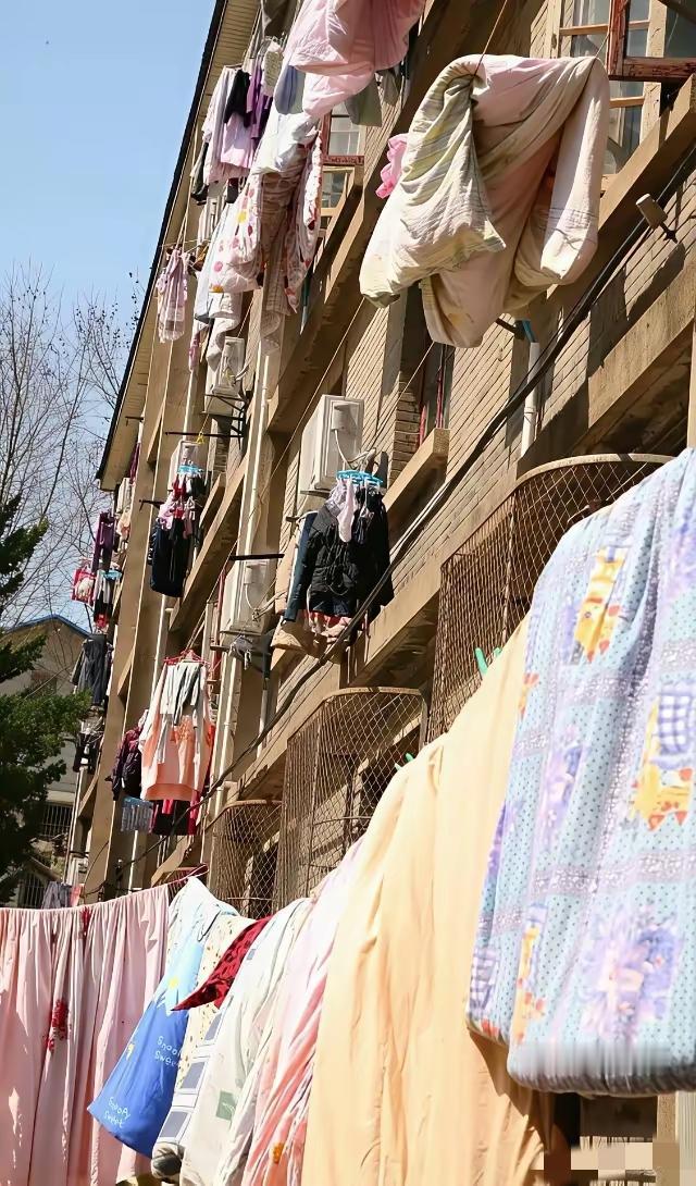 不懂就要问，为啥高档小区没人晒被子？[what]