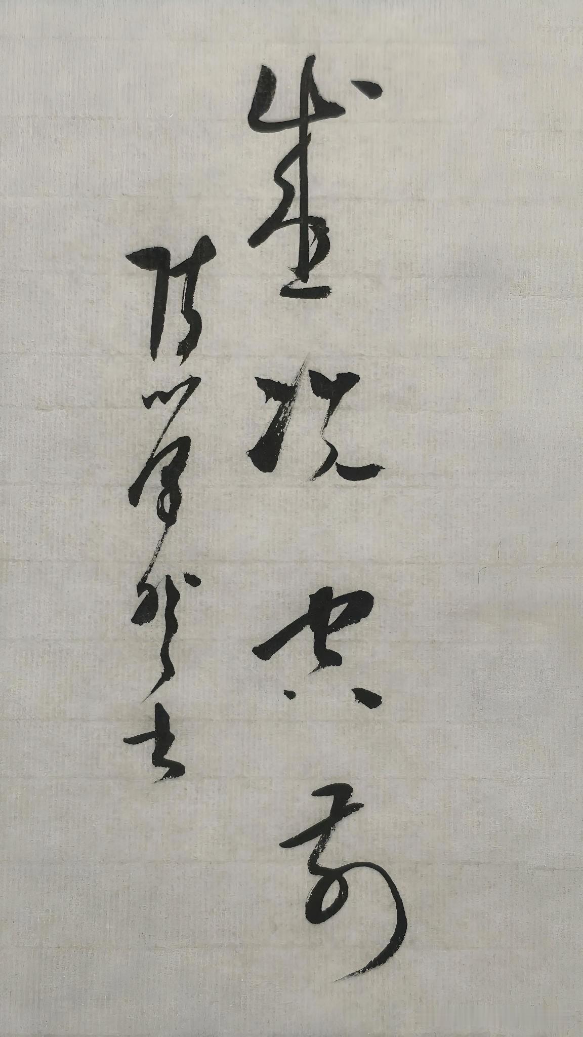 草书精品展示：盛况空前