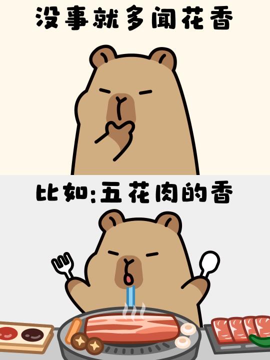 没事吃一点表情包｜卡皮巴拉✨