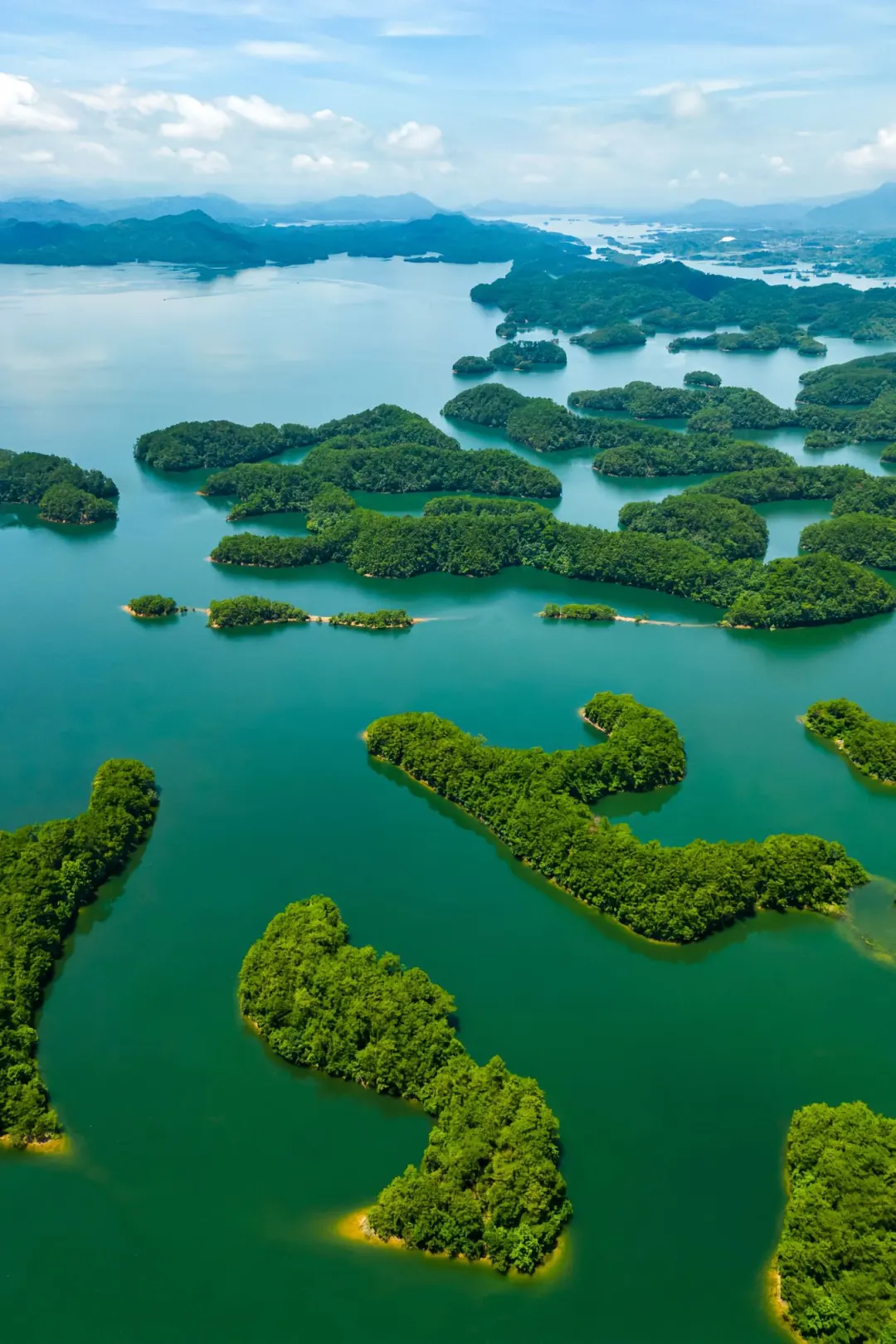 终于找到了❗️杭州的抹茶🍃蛋糕群岛也太美了