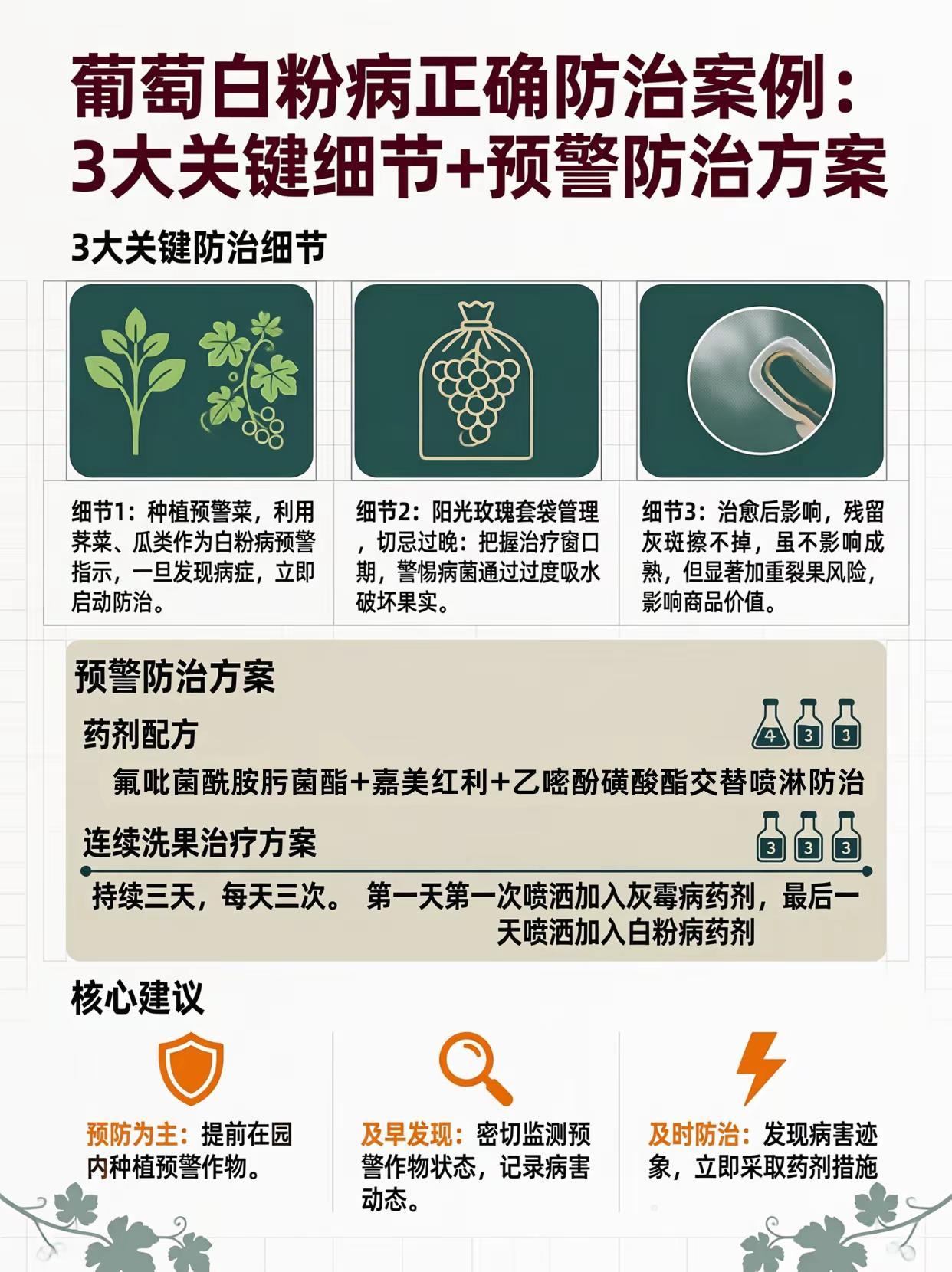 葡萄白粉病正确防治案例！。葡萄种植