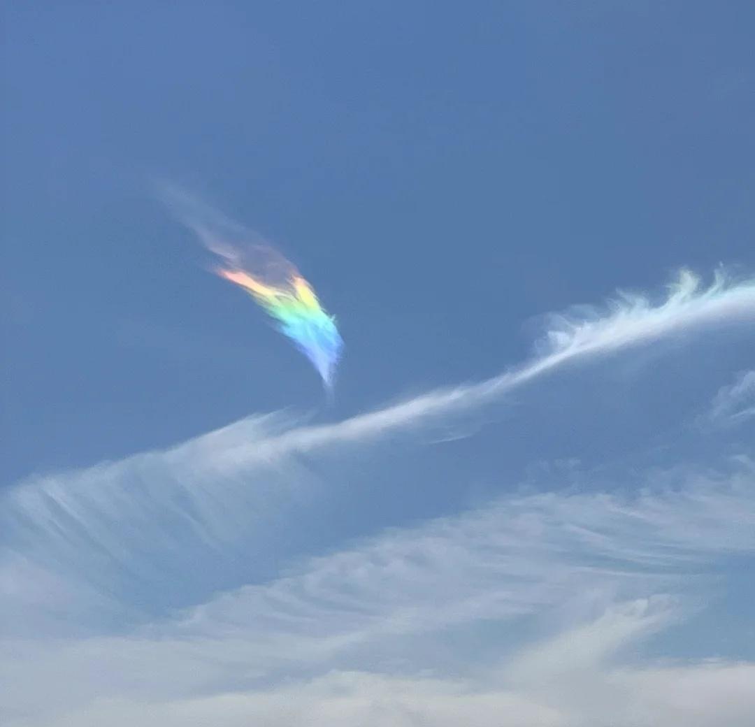 抬头见祥云
江阴出现了一片七彩羽毛🌈
