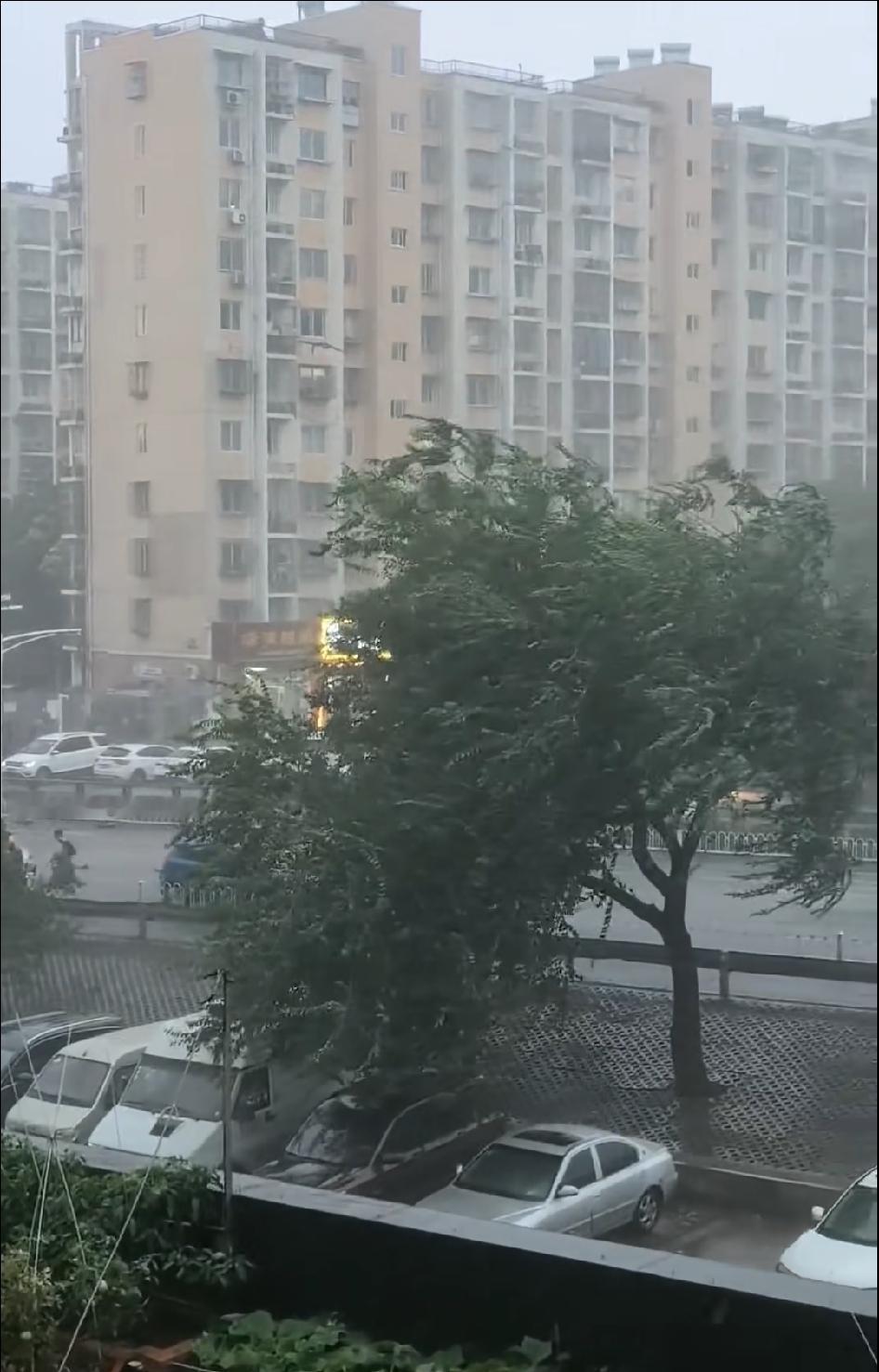 南京夏天的雨，来也匆匆去也匆匆，真像个任性的孩子。白天还晴空万里，傍晚就大雨倾盆