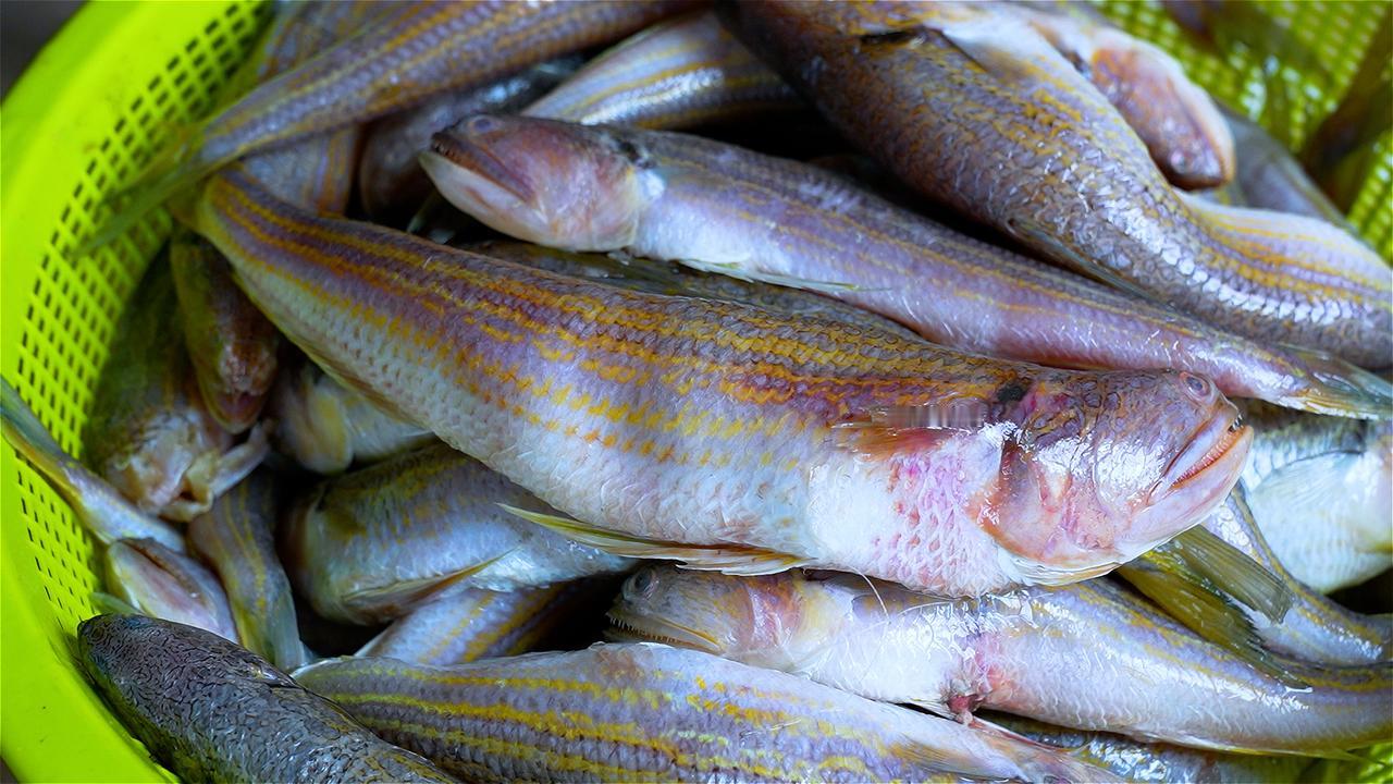  它的神奇之处在于，吃鱼不见鱼肉，只留满口鲜脆。选用惠安当地狗母鱼，剔出鱼肉打成