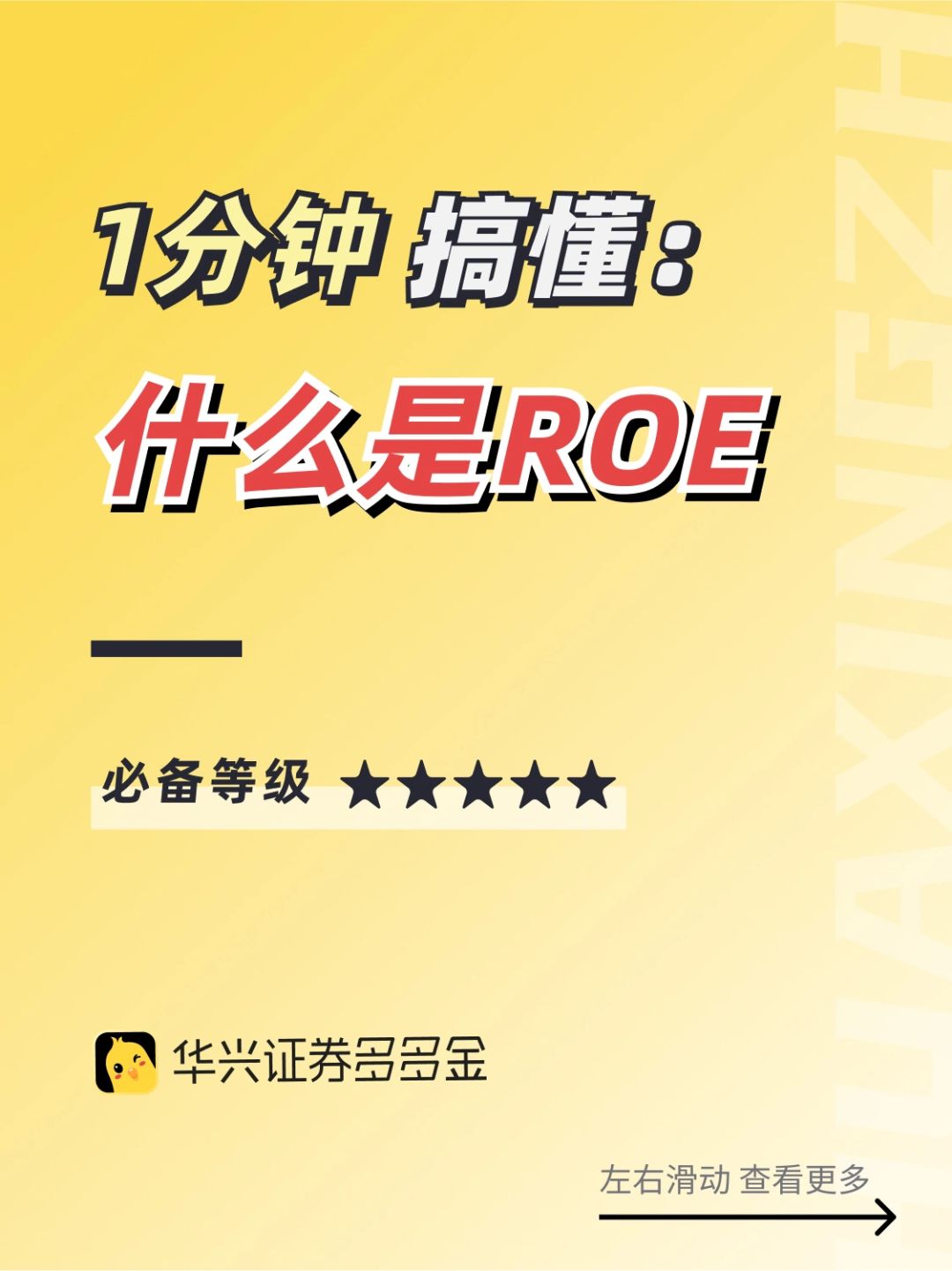 干货篇｜什么是ROE