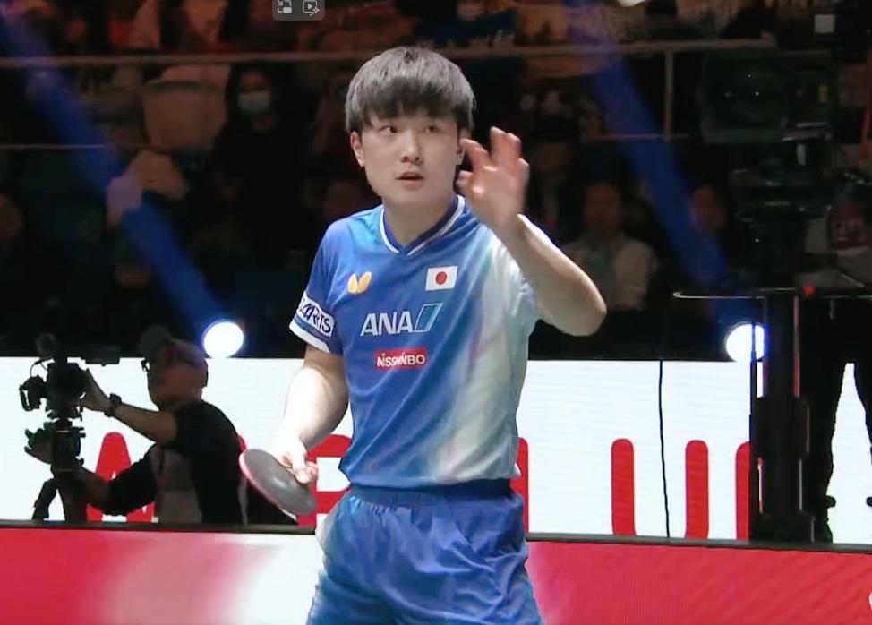 我去，张本智和还有球迷？

今天张本智和与林兆恒的比赛中，
现场球迷大部分是给林