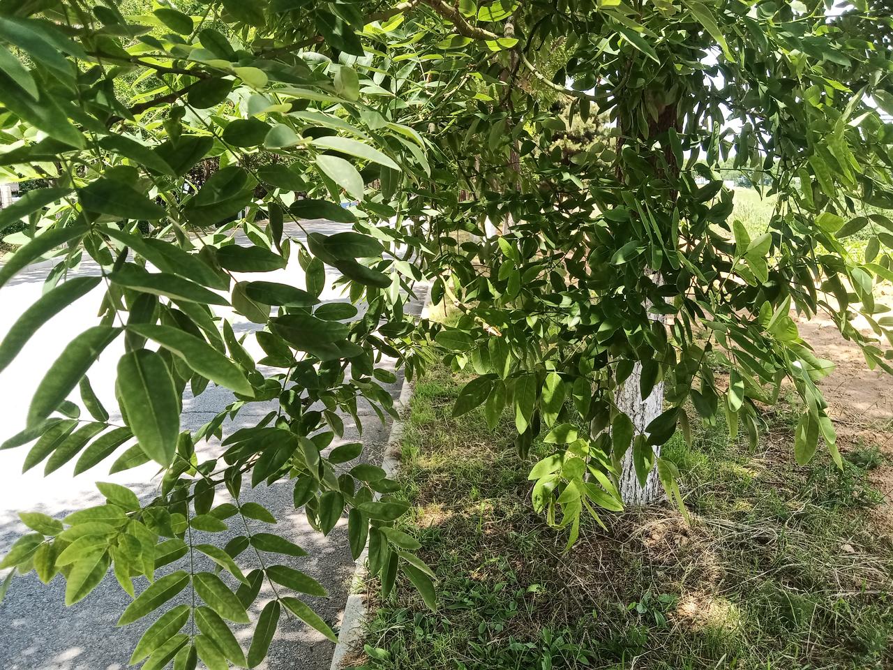 双向奔赴的姐妹情真令人羡慕。有个朋友的亲戚是吸血鬼，他一直给亲戚付出，不付出了之