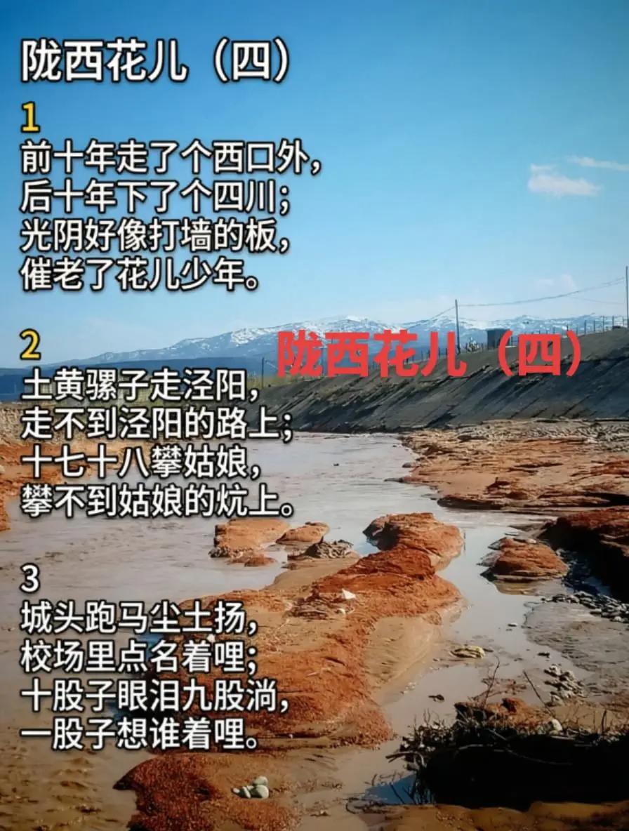 陇西花儿（四）