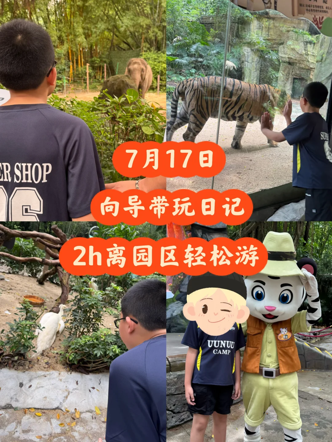 长隆野生动物世界7月17日2h轻松游