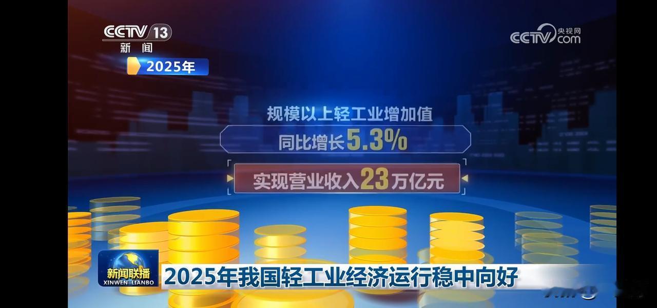 2025年我国轻工业经济增长5.3%，实现营业收入23万亿元！