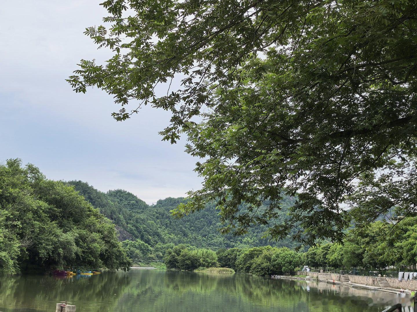 浙江一个脱贫村这环境，这基建 