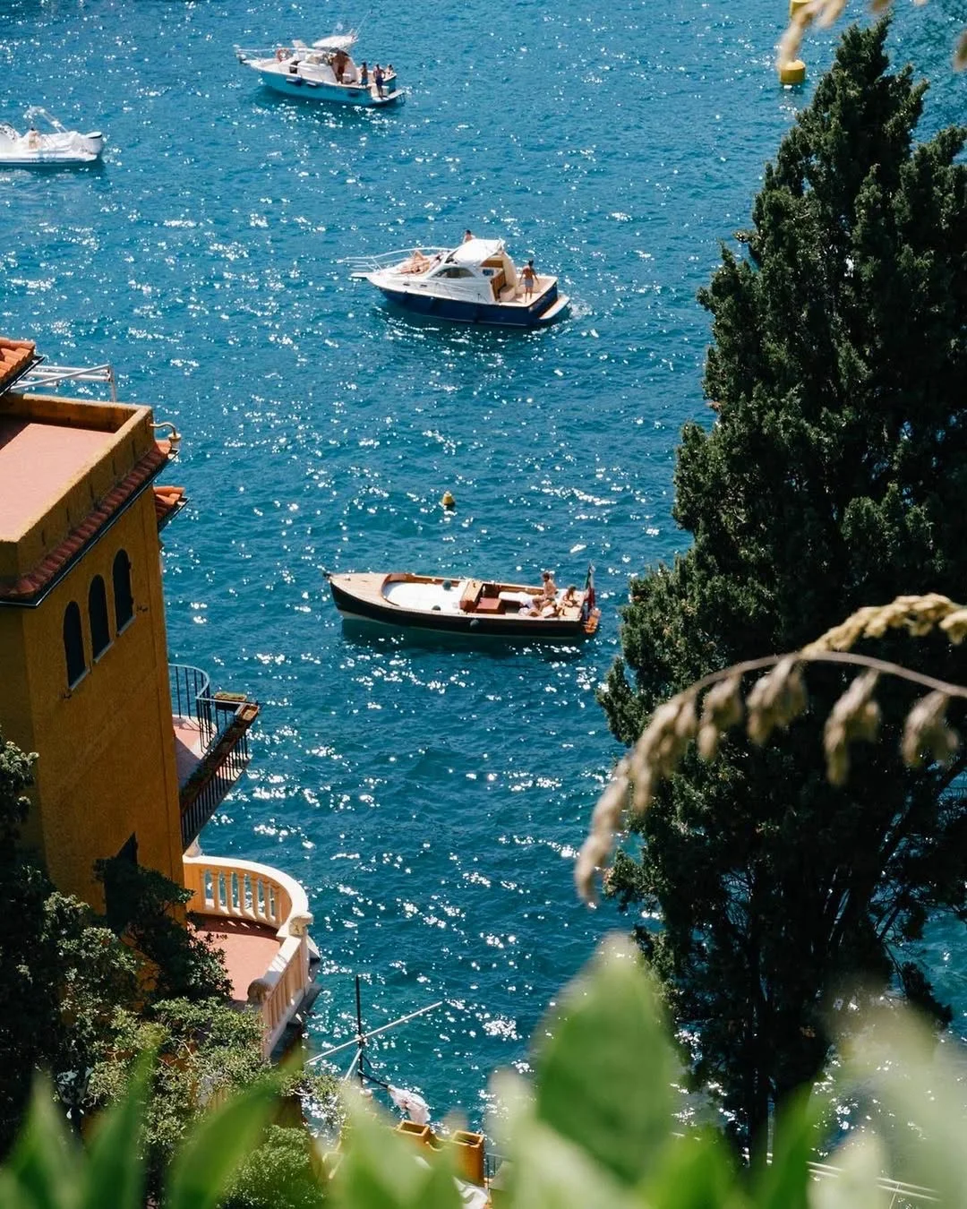 “𝓢𝓹𝓪𝓻𝓴𝓵𝓲𝓷𝓰 𝓞𝓬𝓮𝓪𝓷”