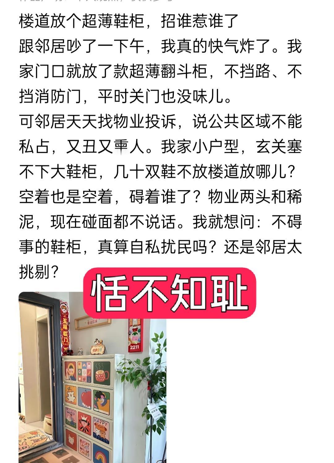 恬不知耻就说的这种人吧！说自己在楼道放个超薄鞋柜招谁惹谁了？你再超薄那也不是你家