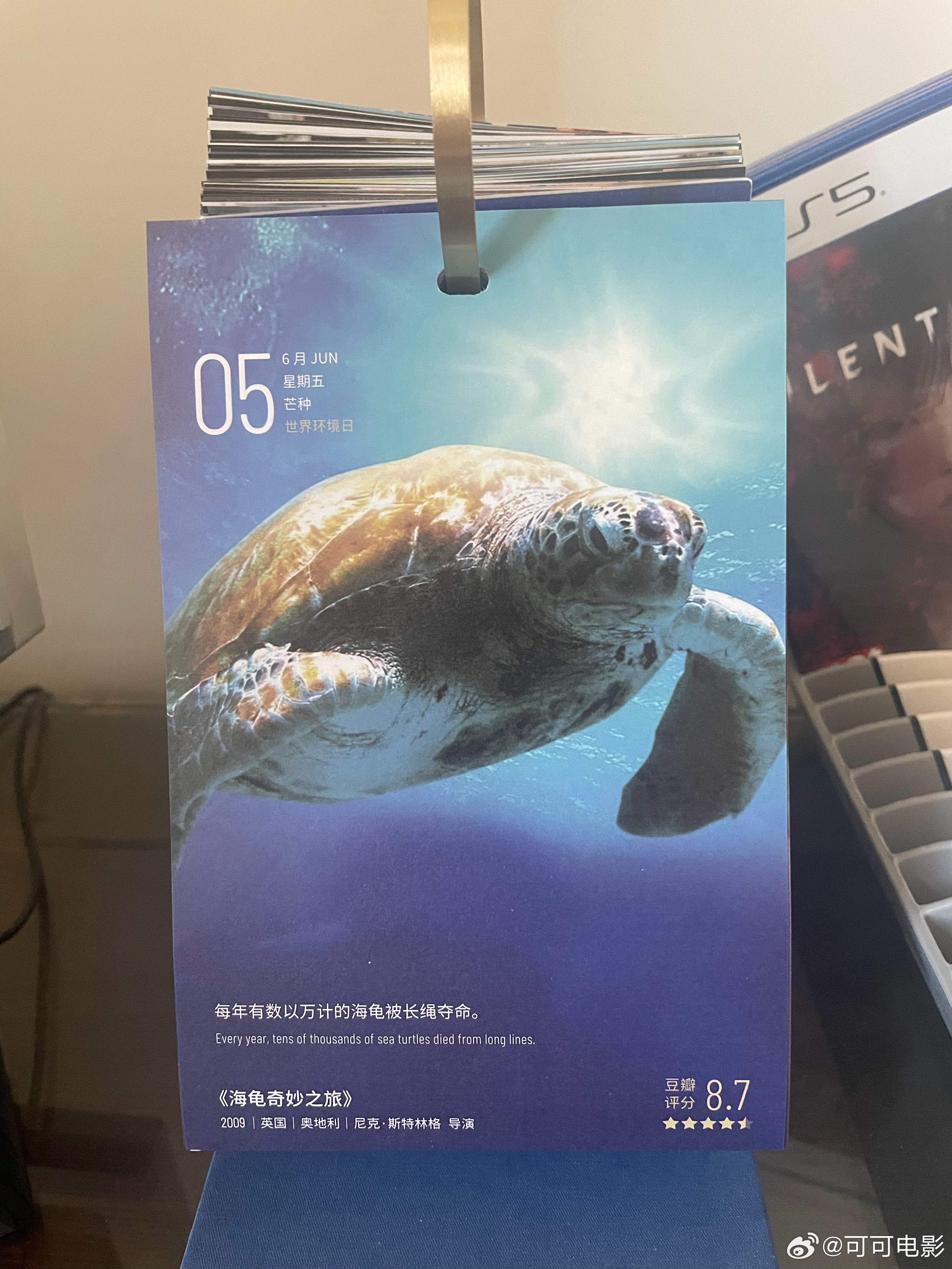 每年有数以万计的海龟被长绳夺命。——《海龟奇妙之旅》