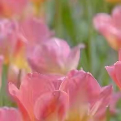 山高自有风景在，心宽才可百事欢。换个角度看风景，我们就会发现‘美’无处不在；换个