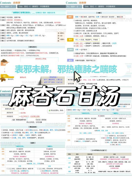 一起学第221篇｜方剂··麻杏石甘汤