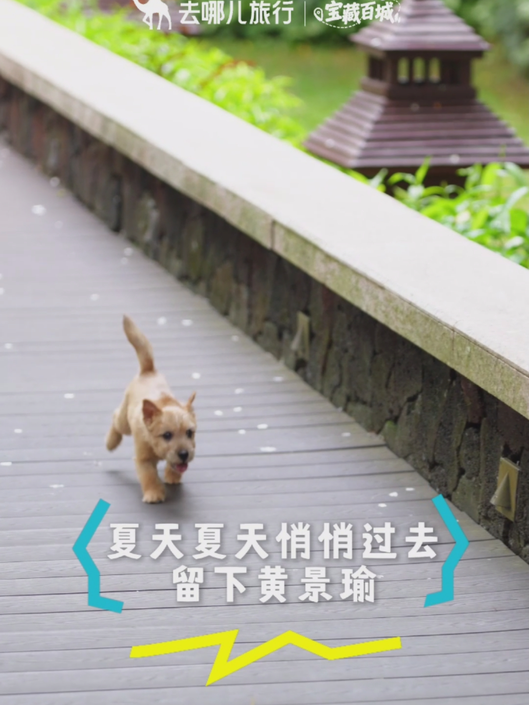 看了去哪儿旅行今日更新，有更多夏天出镜黄景瑜做了这么多，只是为了捧他的心肝，这句