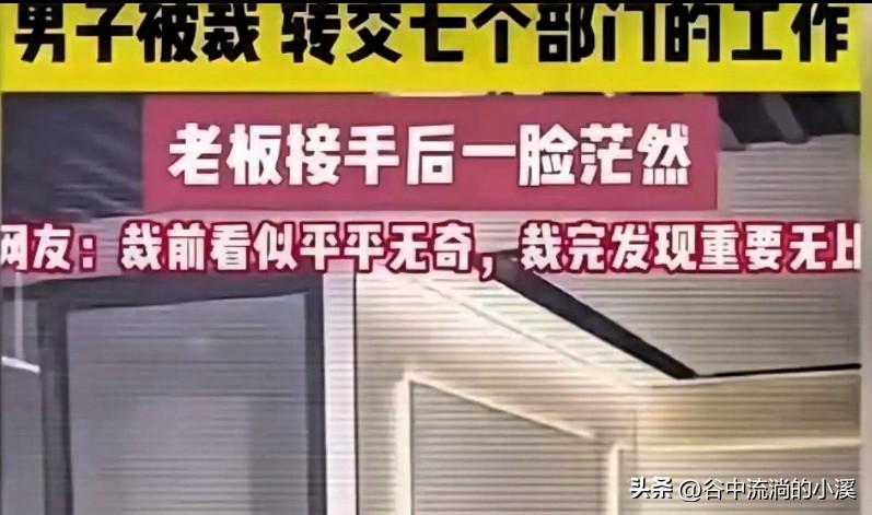 杭州这家公司栽大了！
裁掉一个看似普通的员工，
结果公司直接乱了套！

七个部门