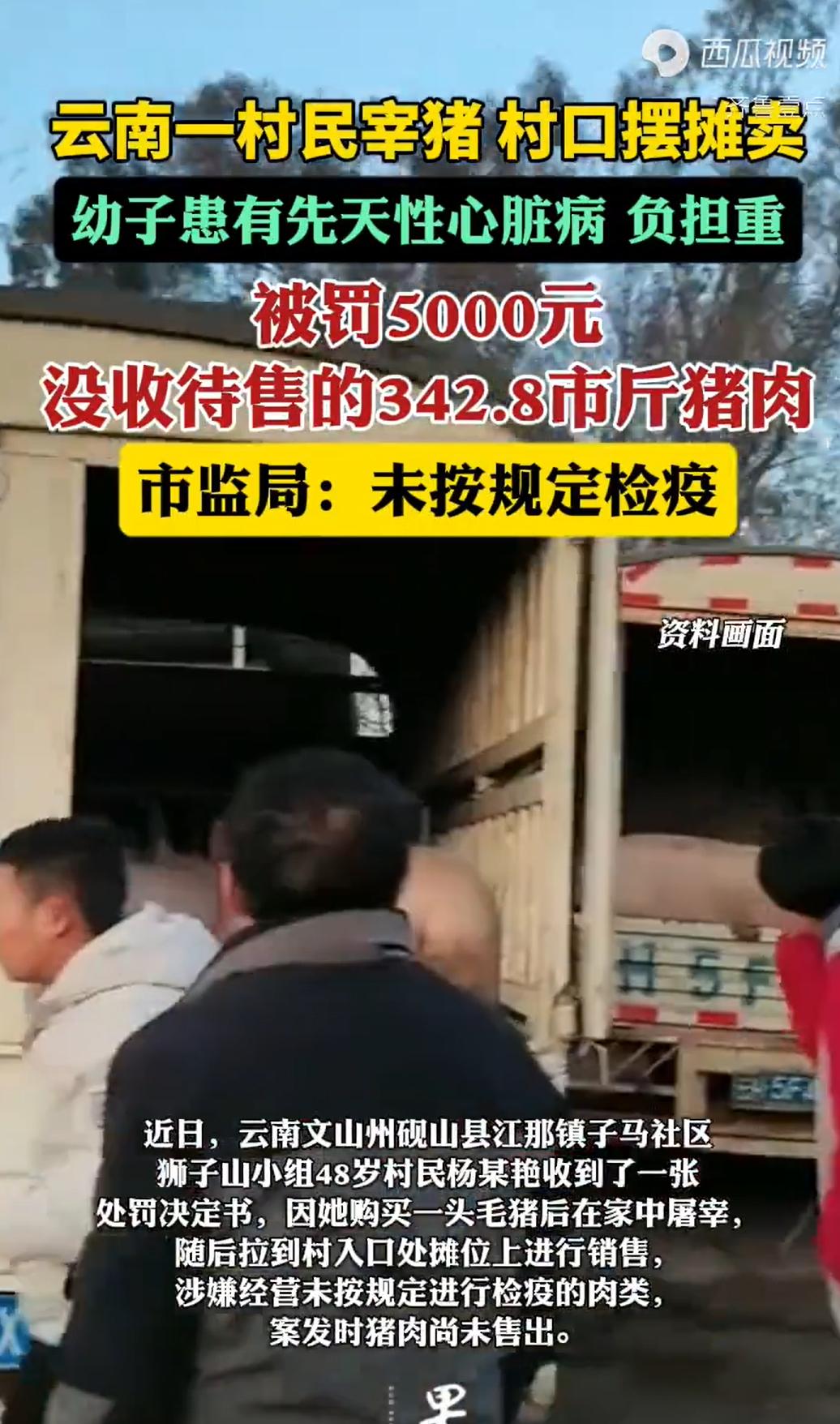 云南砚山，48岁女子为了给患有先天性心脏病的小儿子筹医药费，从市场上买了头猪，在