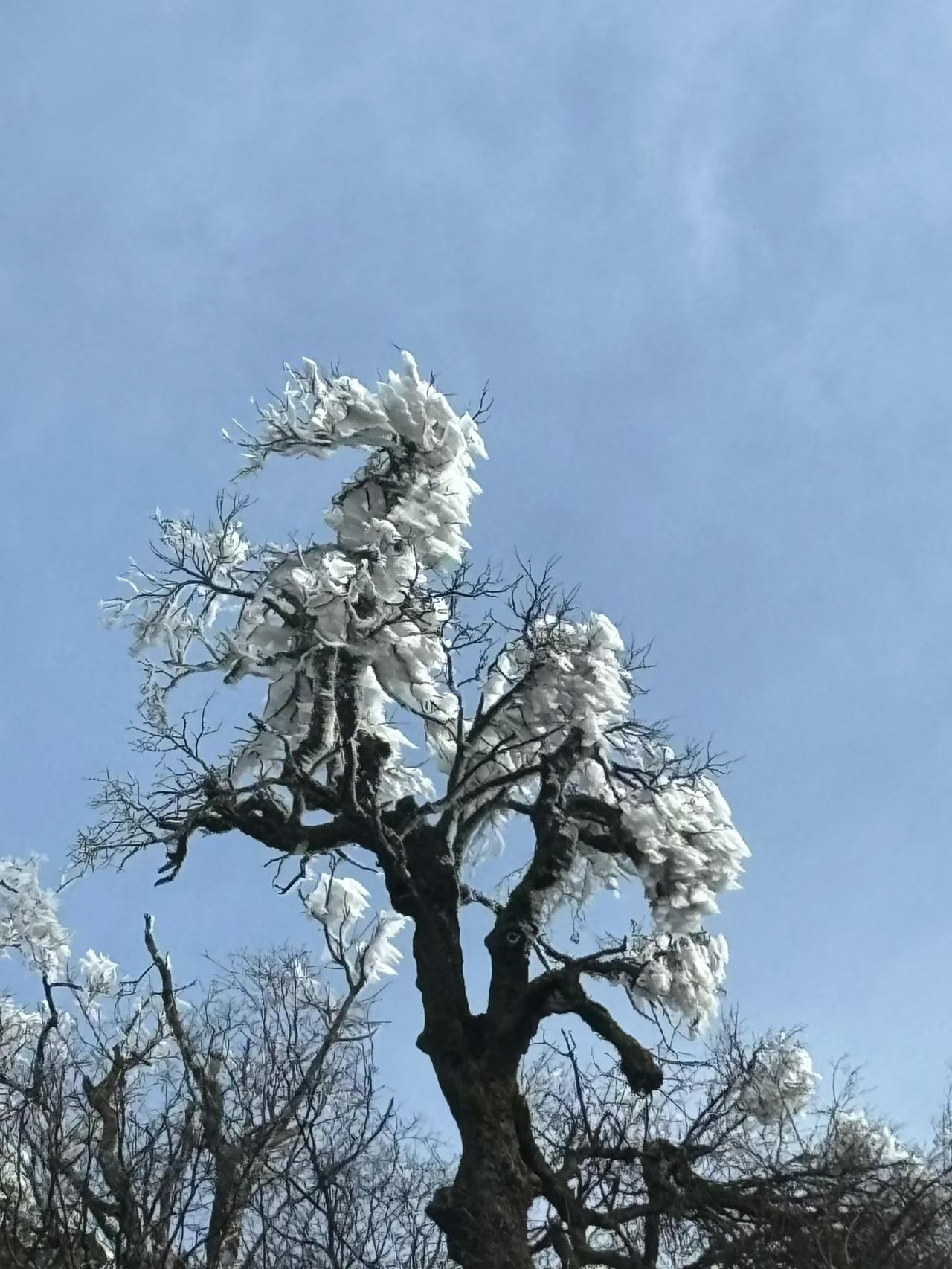 一马当先 天马行空 马驮福至[666]