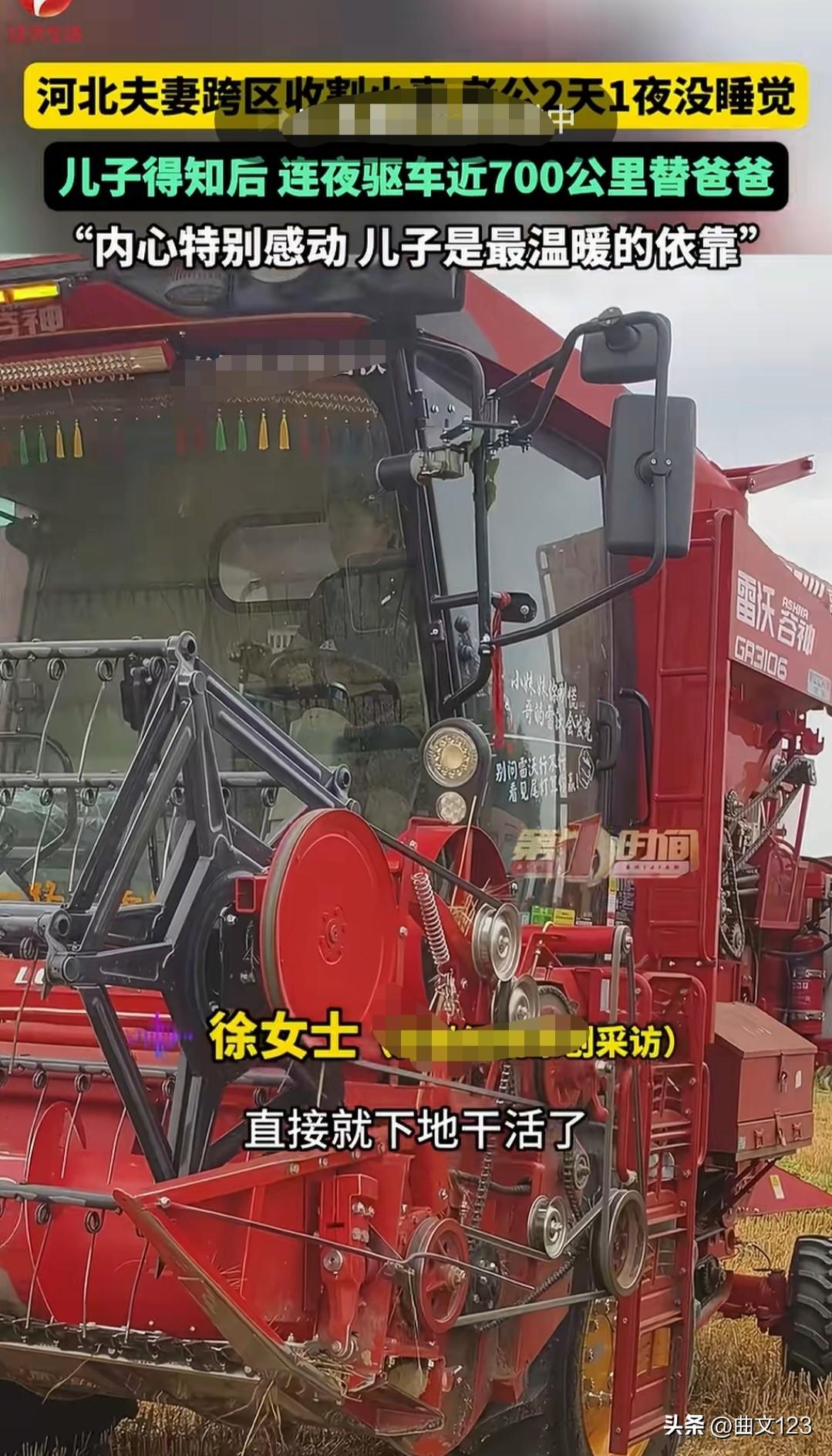 河北夫妻跨区收割小麦，老公两天一夜没睡觉，儿子得知后，连夜开车 700 公里替爸