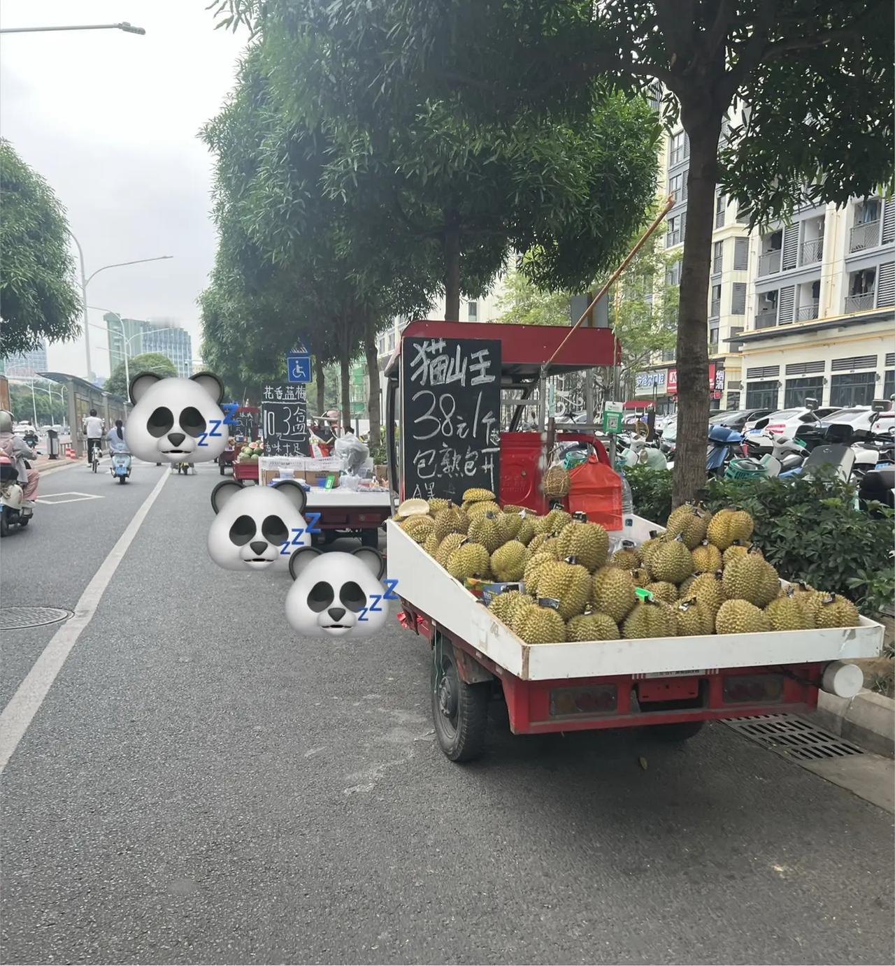 这榴莲贵不贵，怎么比批发价便宜呢🙈。真实生活分享计划 水果贩卖车 榴莲