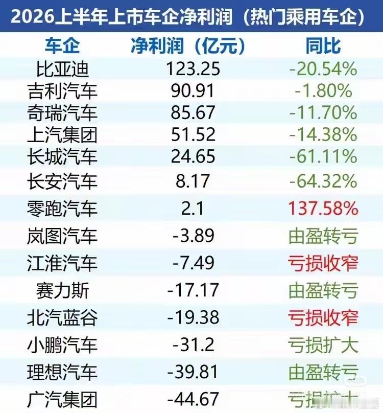 合着2026年上半年除了零跑，全都亏损啊 ​​​