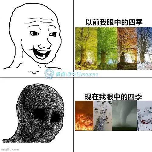 视角（9gag）今日meme 今日memes
